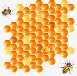 蜜蜂蜂巢矢量图素材