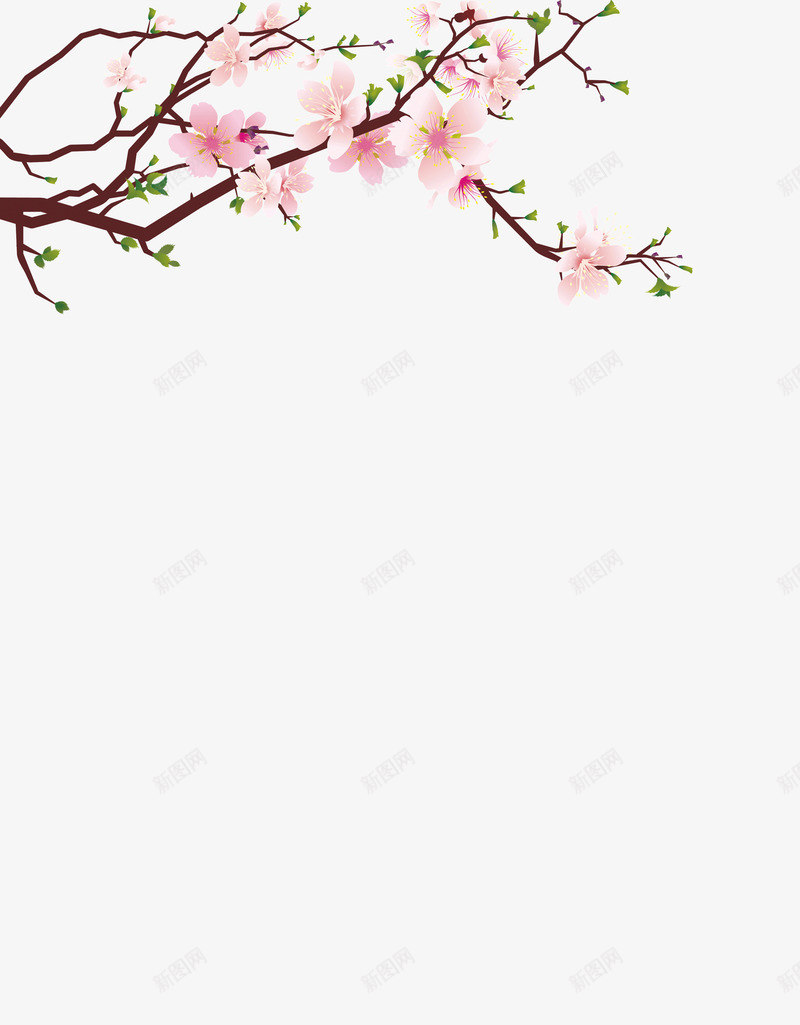 粉面桃花png免抠素材_88icon https://88icon.com 枝叶 桃花 粉色