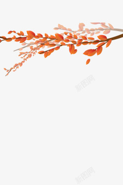 秋日红叶与树枝枝干素材