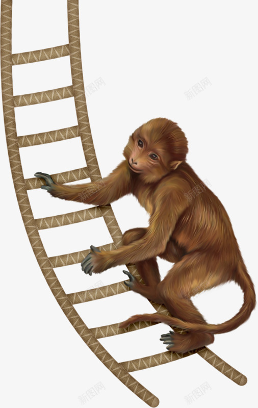 卡通爬梯猴子png免抠素材_88icon https://88icon.com 卡通手绘 梯子 爬梯 猴子 耍杂技