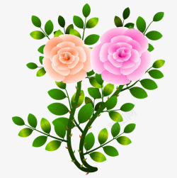 绘制春天里两朵粉红的玫瑰花素材