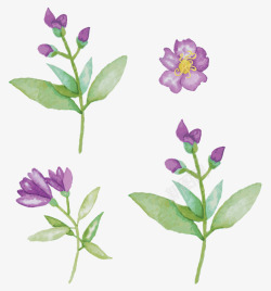 紫色手绘花系列素材