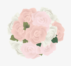 母亲节大束康乃馨素材