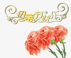 康乃馨母亲节素材