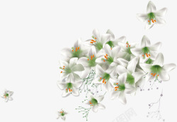 白色唯美花朵美景绽放素材