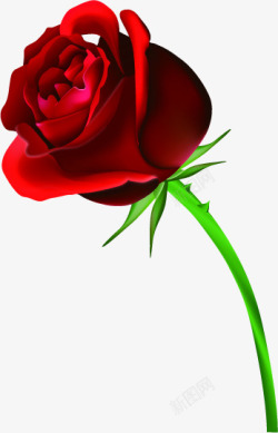 红色鲜花玫瑰植物装饰素材