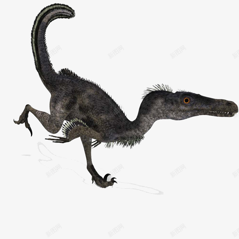 小小的恐龙png免抠素材_88icon https://88icon.com 冰河时代 古代 哺乳动物 恐龙