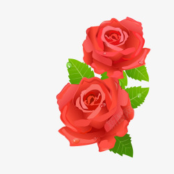 情人节红玫瑰装饰素材