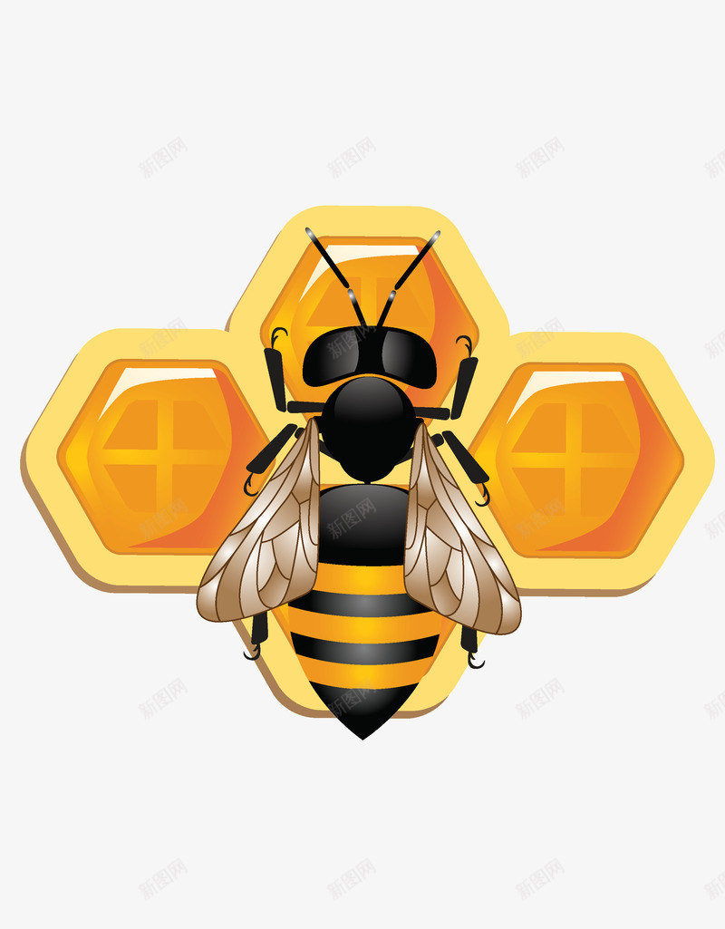 可爱的3D蜜蜂和蜂窝png免抠素材_88icon https://88icon.com D蜜蜂 可爱 蜂窝 蜜蜂窝