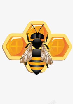 可爱的3D蜜蜂和蜂窝素材