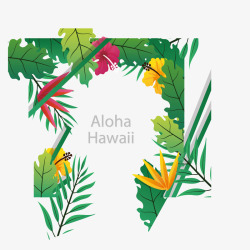 绿色茂盛的夏威夷树矢量图素材