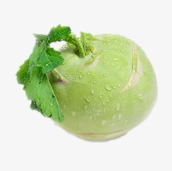 台湾丝菜素材