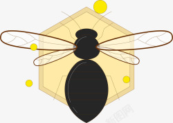 黑色小蜜蜂矢量图素材