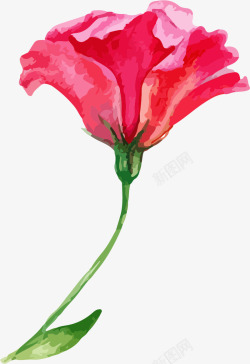 卡通手绘水彩玫瑰花素材