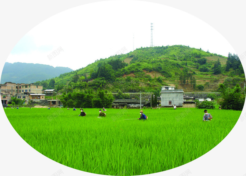 绿色草地风光山峰png免抠素材_88icon https://88icon.com 山峰 绿色 草地 风光