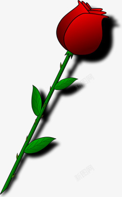 一束红色的美丽玫瑰花素材