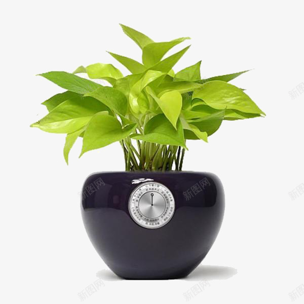 绿色植物摆件装饰png免抠素材_88icon https://88icon.com 摆件 植物 绿色 装饰