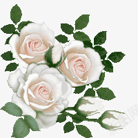 白色的花儿png免抠素材_88icon https://88icon.com 手绘鲜花 植物 白色玫瑰花 红色的花 花儿 鲜花