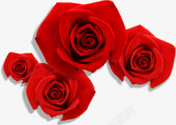 大红色玫瑰花素材