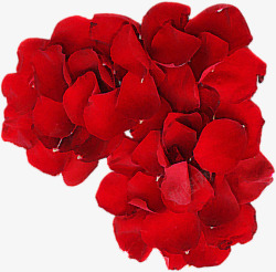 红色婚礼玫瑰花瓣素材