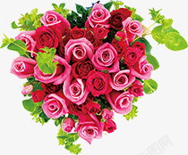 粉色红色玫瑰花束绿叶素材
