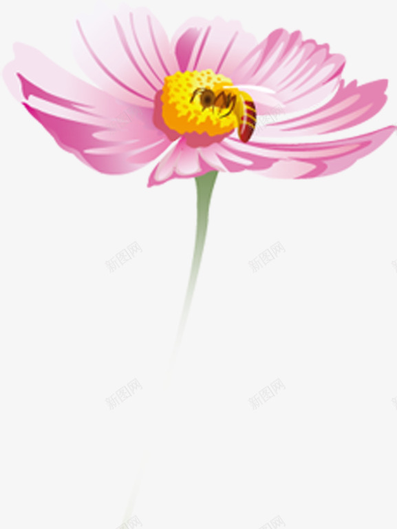 粉色手绘花朵蜜蜂采蜜png免抠素材_88icon https://88icon.com 粉色 花朵 蜜蜂 设计