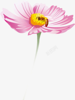 粉色手绘花朵蜜蜂采蜜素材