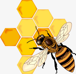 可爱卡通手绘蜜蜂蜜蜂采蜜素材