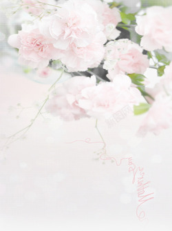 白色手绘花朵美景母亲节装饰素材