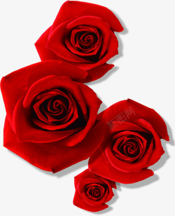 创意摄影送给情人的礼物红色玫瑰花素材