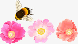 三只蜜蜂三只花朵红色花蜜蜂高清图片