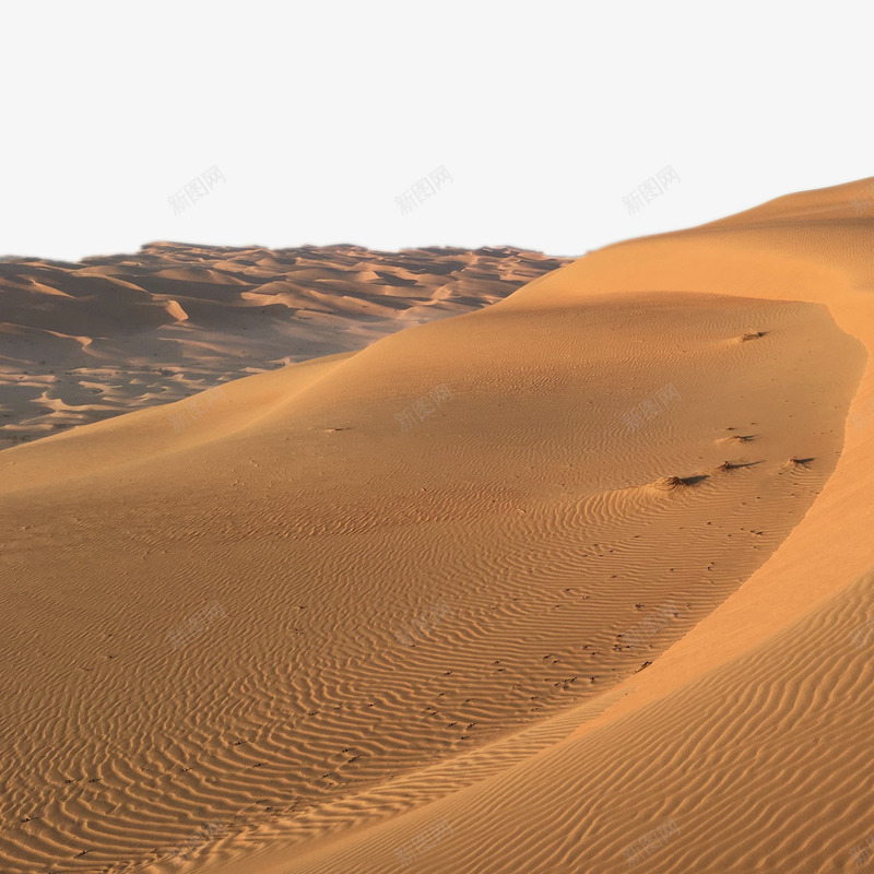 浩瀚的金色沙漠沙丘png免抠素材_88icon https://88icon.com 沙丘 沙漠 浩瀚 金色