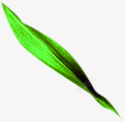 绿色清新手绘竹叶风光素材