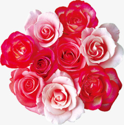 创意摄影红色质感情人节玫瑰花素材