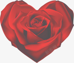 爱心红玫瑰七夕情人节素材