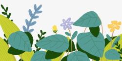小清新手绘夏日植物装饰插图素材
