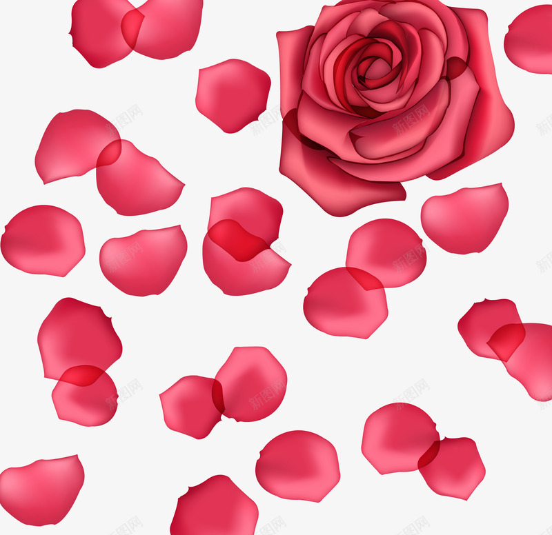 创意手绘效果红色的玫瑰花瓣png免抠素材_88icon https://88icon.com 创意 效果 玫瑰 红色 花瓣