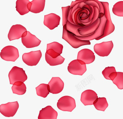 创意手绘效果红色的玫瑰花瓣素材