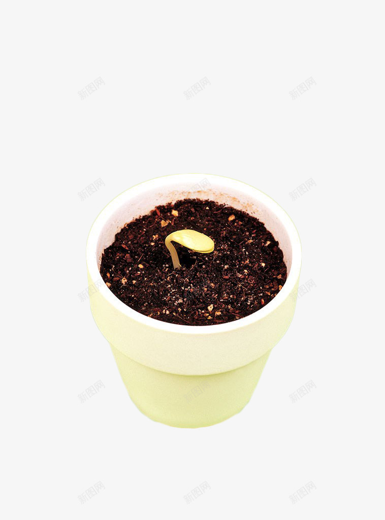 花盆里的豆芽png免抠素材_88icon https://88icon.com 发芽的绿豆 土壤 绿豆芽 花盆 蔬菜 豆芽 食材