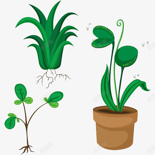 绿色的植物png免抠素材_88icon https://88icon.com 卡通 手绘 植物 简笔 绿色的 花盆 蜜蜂 装饰