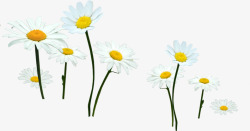 白色卡通森系花朵韩式素材