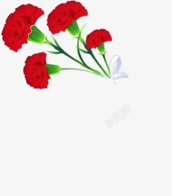 红色鲜花花朵植物母亲节花束素材