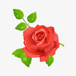 情人节红玫瑰装饰素材