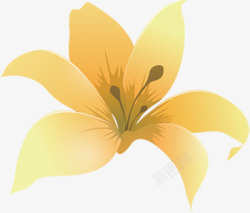 黄色简约花朵风光手绘素材