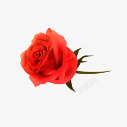 红色玫瑰花元素素材