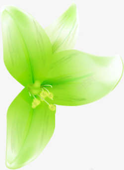 绿色清新绽放花朵素材