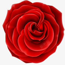 红色唯美玫瑰花矢量图素材