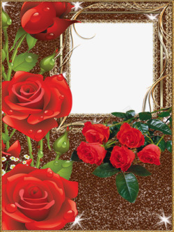 红玫瑰鲜花背景相框素材