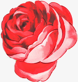 手绘美丽红色玫瑰素材