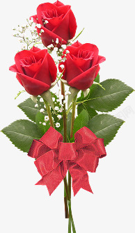 红色玫瑰花植物花朵素材